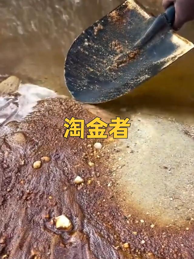 国庆“金矿游”爆火！花几十块就能淘金，淘到还能带走！
