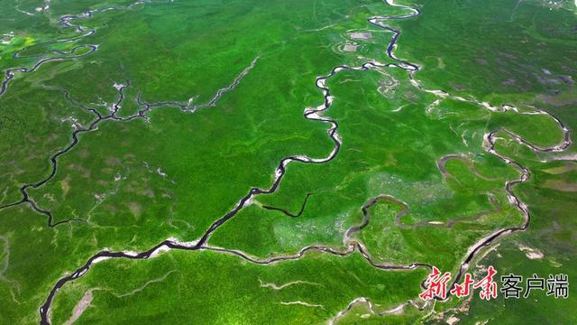 夏日阿万仓：水系成脉 生灵共栖