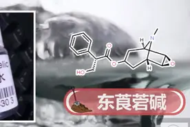 女孩网恋奔现，结果被下药“听话水”，让女孩懊悔终生！图片