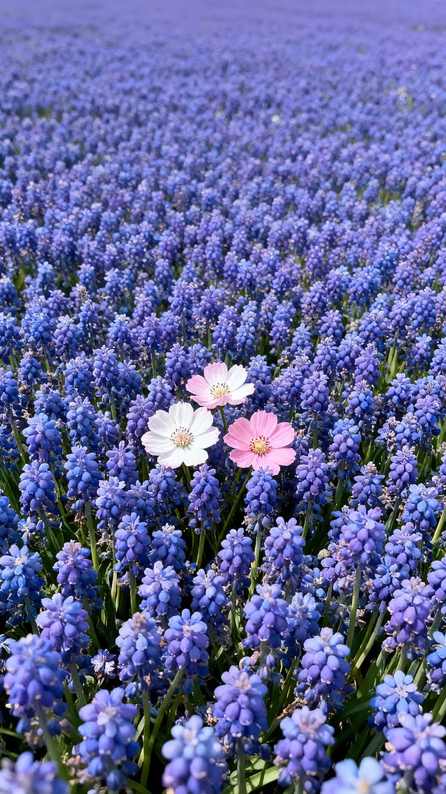 丝丝春意，抹去缕缕寒意，春天美景分享，太治愈了！