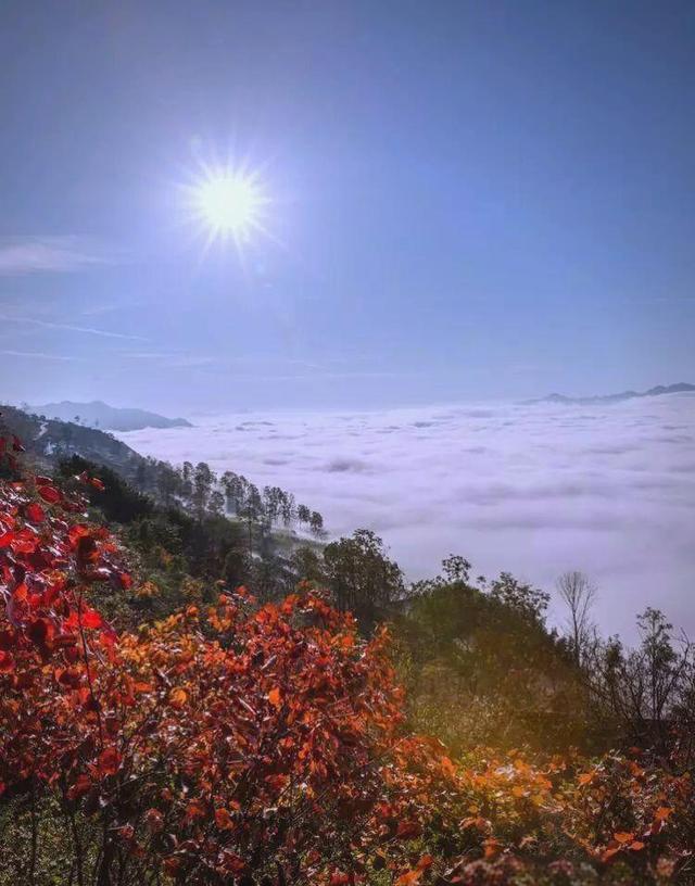 西安 2 小时直达秦岭这座免门票云海仙山，30 分钟徒步解锁大美秘境