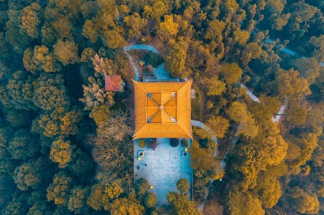 宜春人私藏的赏秋地图，这4个宝藏地，让摄影师都走不动路！