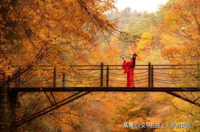 2025汉中黎坪红叶季10月15日云启幕！18日、19日免门票！