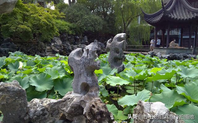 苏州暴走攻略！8大景点保姆级打卡指南，本地人看了都直呼内行！