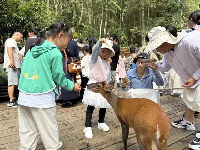 旅居思茅 | 小机场撬动大旅游 普洱思茅机场见证茶城“破圈”之旅