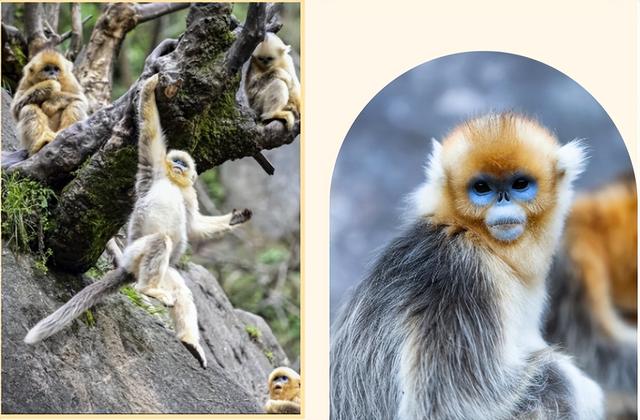 武都各景区优惠福利重磅上线，速囤！