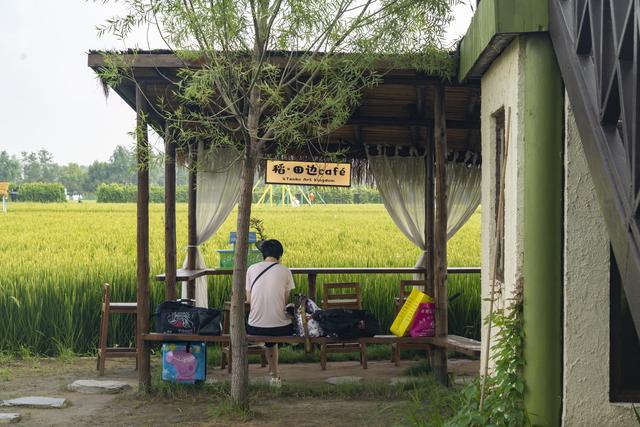 辽宁沈阳：一处画在田间人在画中的景区吸引来自四面八方的游人