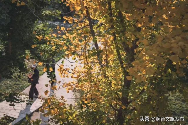 【乐游烟台】把烟台写进秋天的诗里