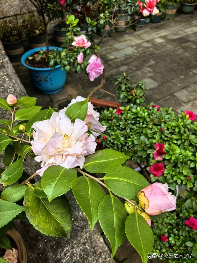 通海秀山：一座“无柱不联”的文化名山