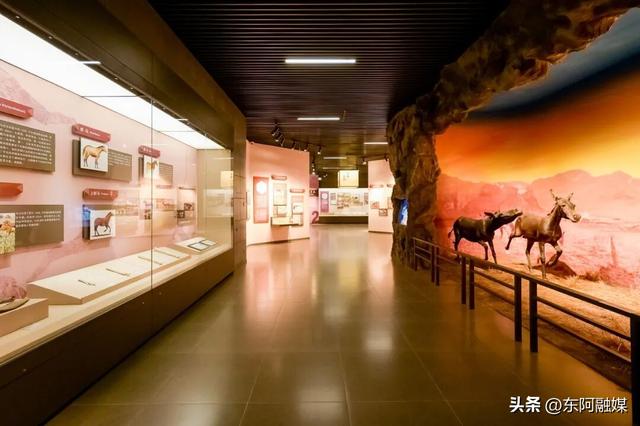 看激情鲁超 赶黄河大集 品丰收美味 赏东阿美景