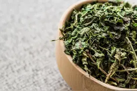 薄荷是个宝，止湿疹荨麻疹瘙痒图片