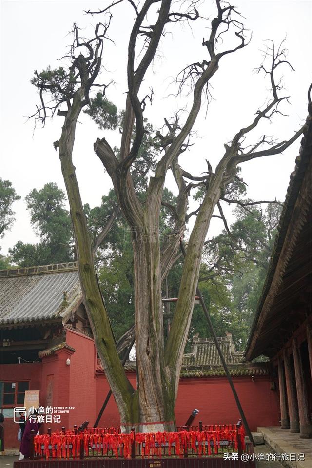 陕西被严重低估的古建筑群！殿宇巍峨、古柏森然，人文美学的巅峰