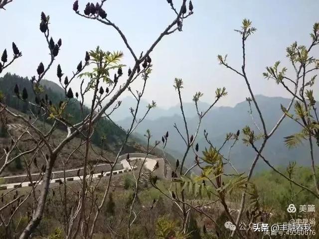 邂逅蒲洼,遇见京西的诗意与远方| 申艳娟