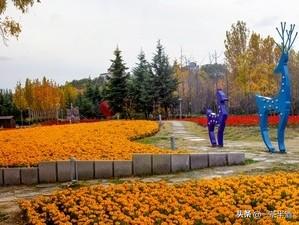 自驾攻略：山东烟台沿海区域免费停车场露营地，主要景点特色美食