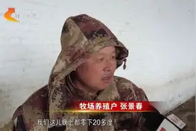 新春走基层 | 承德围场：高岭有“阳光” “暖”进牧民家图片