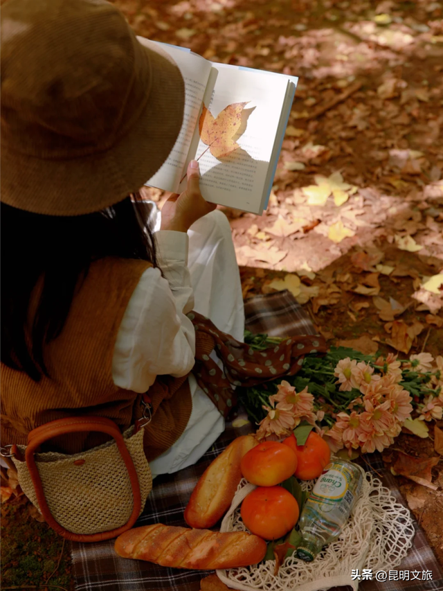 初冬出片C位！昆明这个地方必须榜上有名，周末抓紧冲~