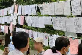 从天河公园相亲角的信息，分析中国社会各阶层情况图片