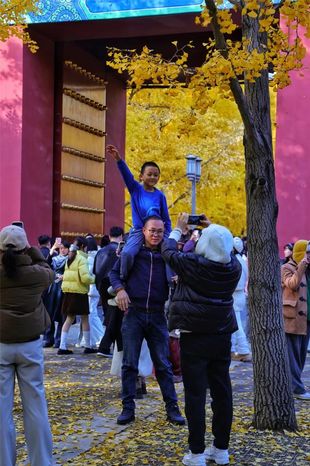 别急,地坛秋色还在!银杏节持续至本周末→