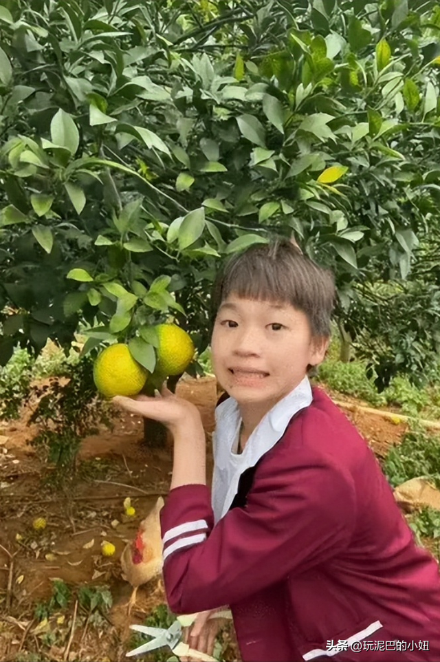 被“炮轰”仅半个月，比赛再次失利的全红婵，已经走上了另一条路