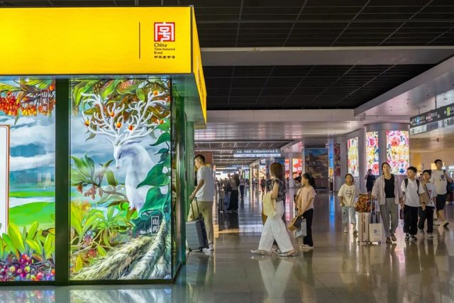 来郑州东站仲景宛西制药展厅打卡山水“药”园感受中医药文化