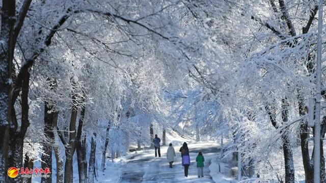 听我的，雪后的乌鲁木齐，真的能治愈一切！