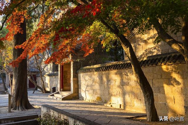 话青岛：海滨城市的美，不需刻意邂逅，面朝大海，转角皆是风景