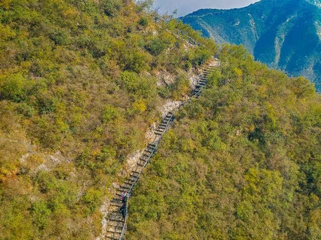 这个秋天 我想离开浪浪山去千灵山看看
