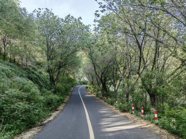 雅山打卡点和出行攻略