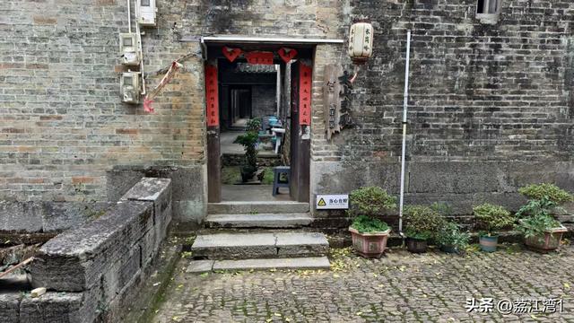 游长岗岭古村，观飘黄银杏