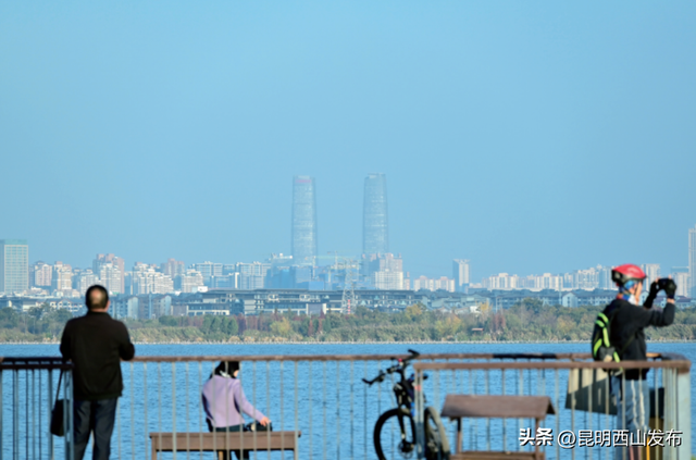 干沟尾湿地“天空之镜”水杉渐红 打卡正当时