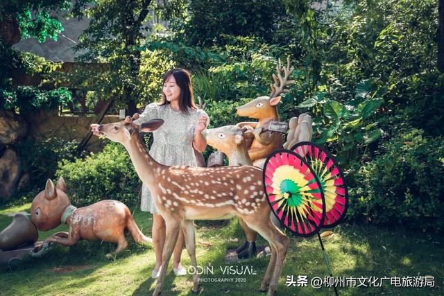 一个被严重低估的宝藏地！卸载48小时城市内卷，到鹿寨中渡加载山水与人间烟火