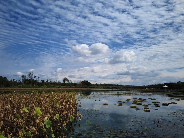 南行漫记：离开南充走G318到达遂宁，驻车圣莲岛营地