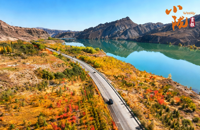 【小陇画报·426期】肃南：多彩秋日 满目金黄