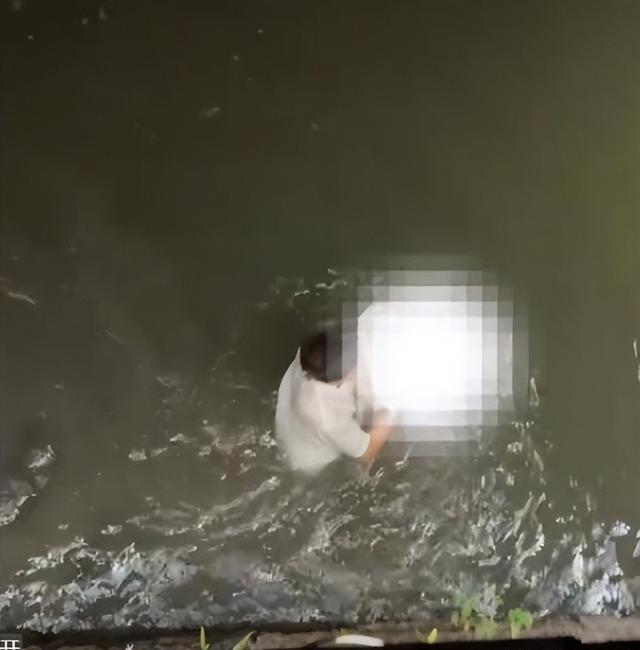 杭州男子救人！遭被救女子举报，原因曝光，男子反被骂，细节披露