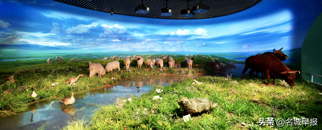 内蒙古自然博物馆“壮美内蒙古”展厅入选“中博热搜榜”