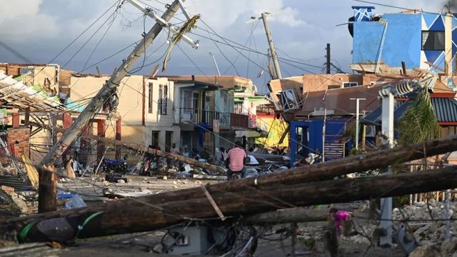 迄今世界第一大蛛网：106平米，11万只蜘蛛的家