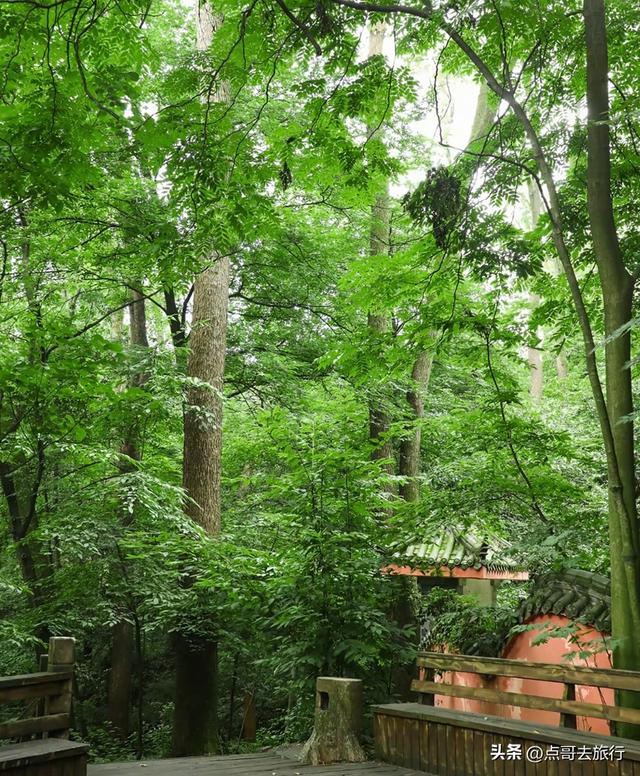 成都难得的清凉徒步胜地，在都江堰隔壁，不要门票，超级凉爽。