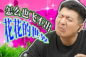 这类专业超过280多所院校都上涨？分不够的千万别盲冲，想清楚！图片