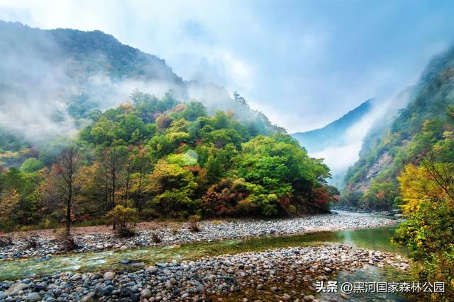 黑河的美，一直都在 | 云游黑河的秋日画卷