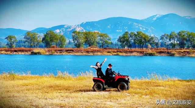 -10°C也拦不住!被窝里哪有马背上潇洒?小泰成功解锁泰安冬季最野玩法!