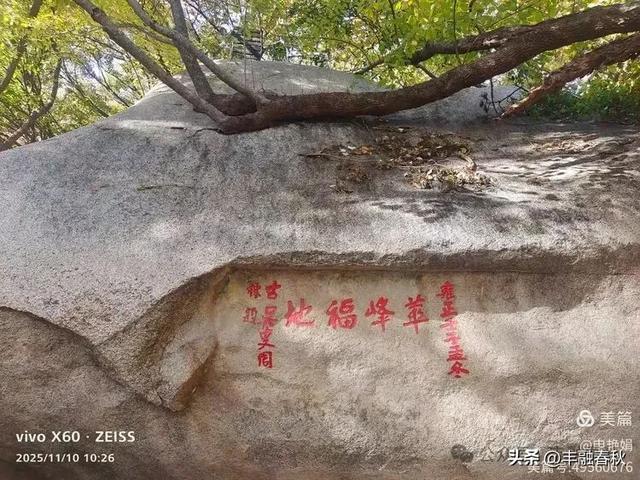 青岛崂山华严寺:山海间的禅意清响|申艳娟