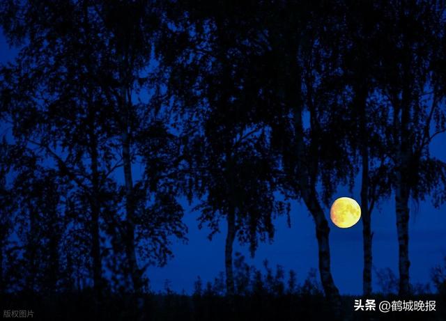 暴雨夜被队友甩在南太行深山！大三男生摸黑淌水自救，资深领队曝关键隐患