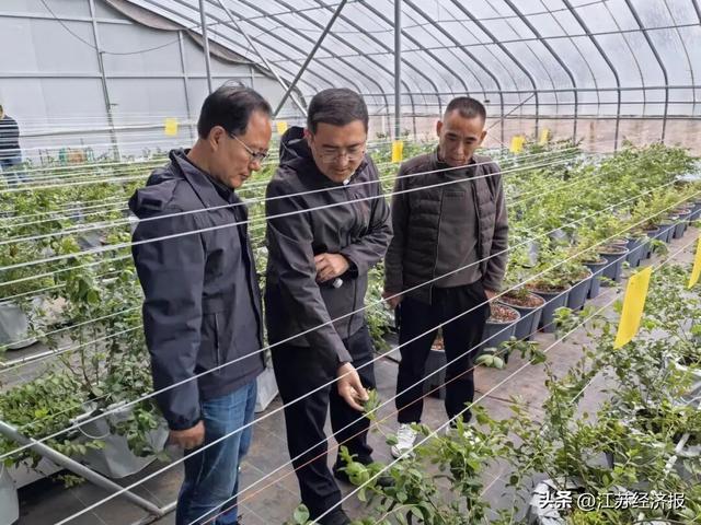 “苏潮乡遇”文化大咖新沂和美乡村采风行近日举行