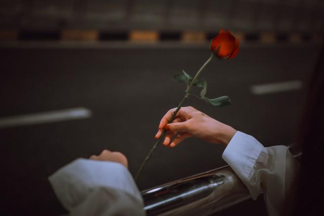 断联后，不管多不舍，都要关上身后的两扇门，这是退路