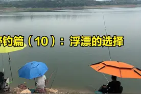 科学野钓篇（10）：野钓做好这三点 浮漂出口真实又销魂图片
