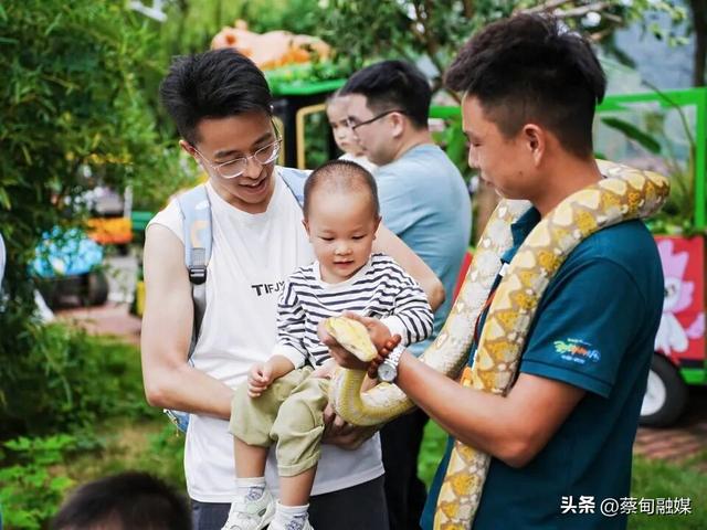 全省热门景区前三，连续单日GMV破百万！武汉野生动物王国热度飙升