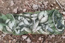 钓鱼钩不能随便选，高手钓鲫鱼常用的三种鱼钩，你用对了吗？图片