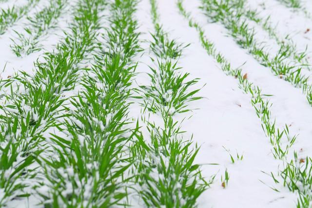 “最怕十月初一是晴天”，今天十月初一，晴天有什么可怕的？