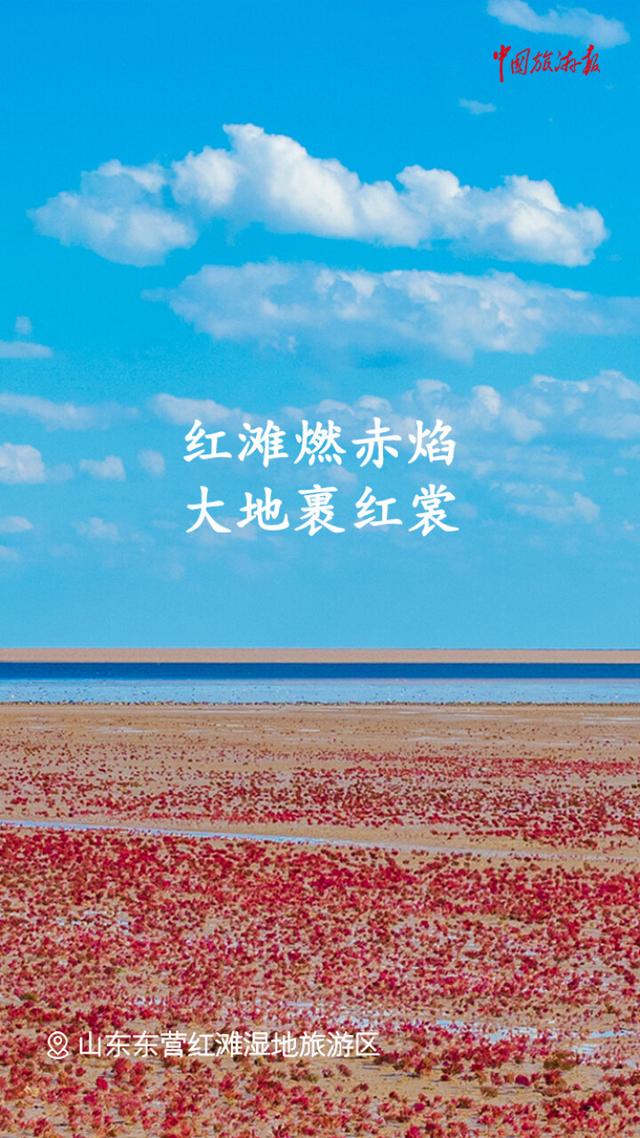 处暑丨撷一缕凉风 与万物共赴秋实