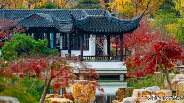 苏州居然还藏着一个“中国四大枫叶胜地”！